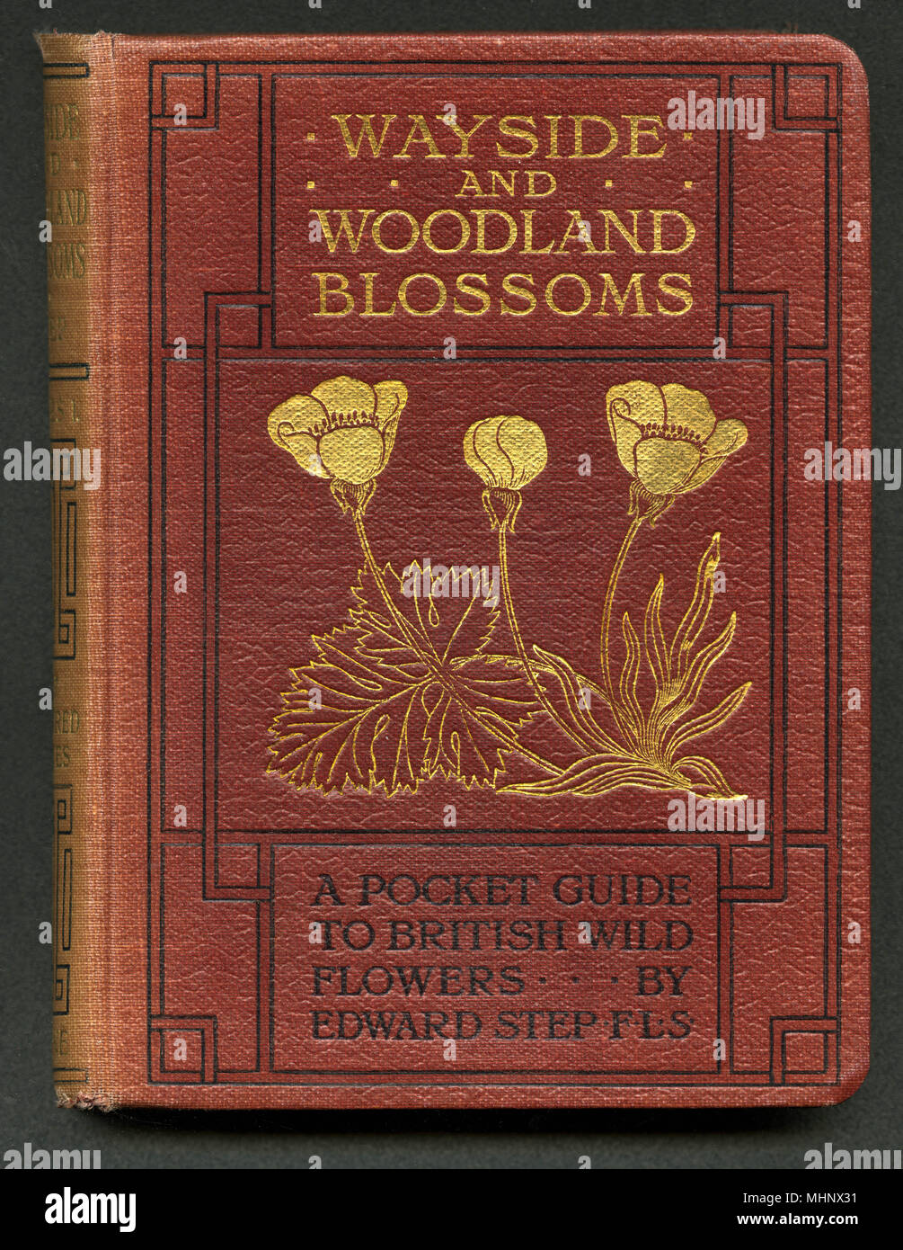 Cubierta de libro, Wayside y Woodland Blossoms Foto de stock