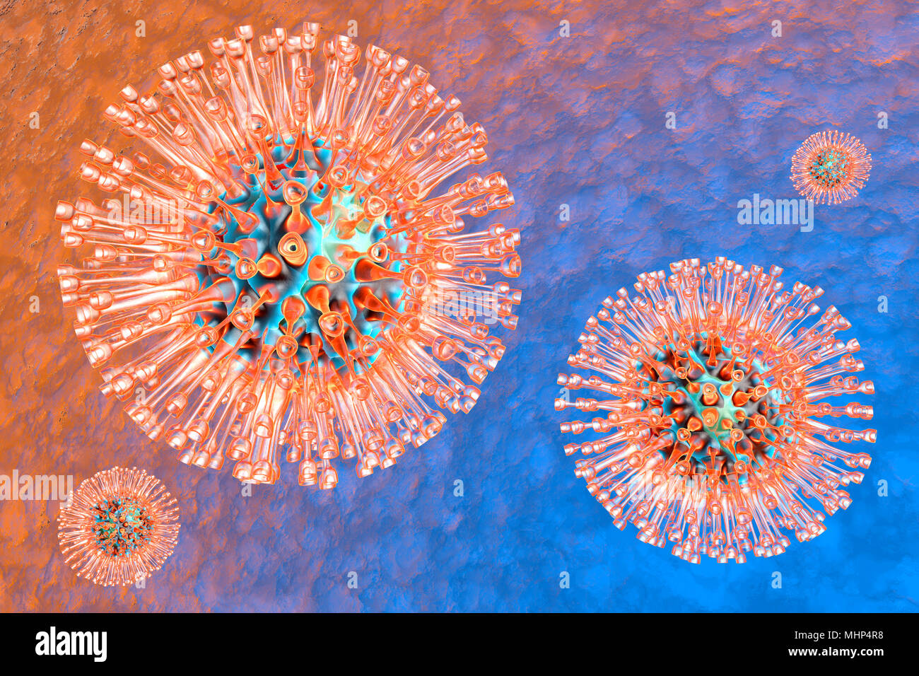 Visualización médica de un grupo de virus del herpes. Ilustración 3D. Foto de stock