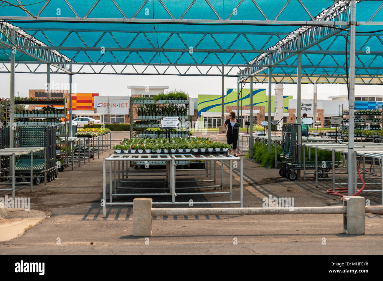 Dos mujeres selecciona la primavera plantas de arriate desde una planta exterior mart. Wichita, Kansas, Estados Unidos. Foto de stock