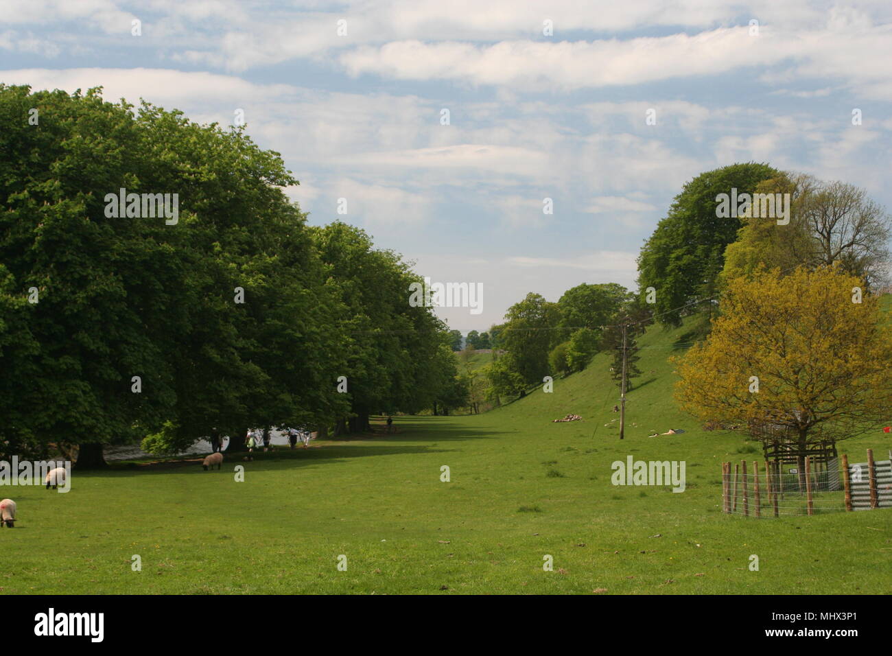 Imágenes de Yorkshire Foto de stock