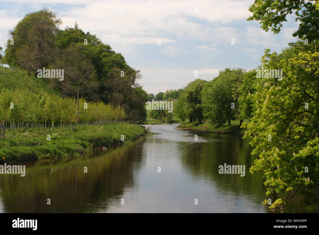 Imágenes de Yorkshire Foto de stock