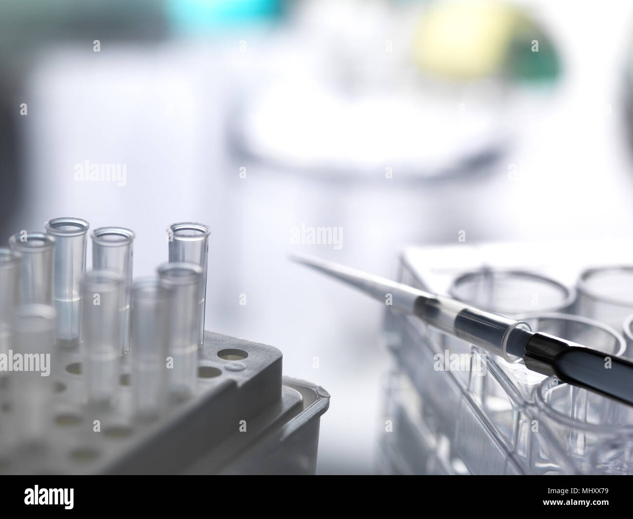 Una pipeta con consejos y una placa bien pendiente de un experimento en el laboratorio. Foto de stock