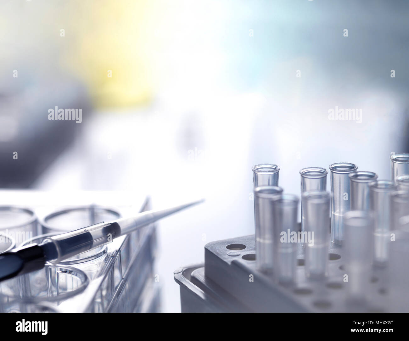 Pipeta sobre placa de pocillos múltiples con puntas de pipeta durante un experimento en el laboratorio, close-up Foto de stock