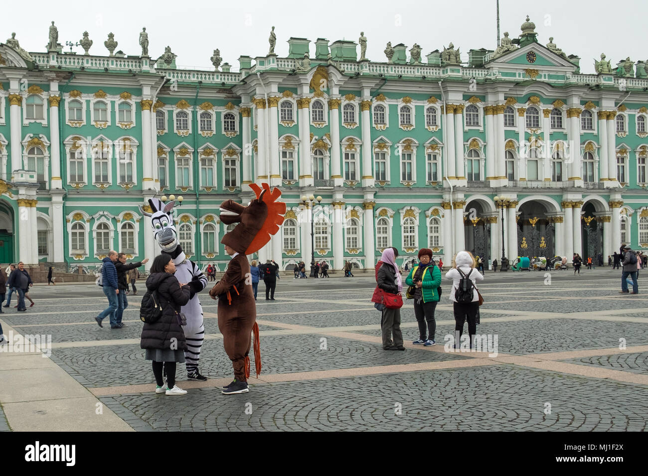 Los turistas caminando por la plaza del palacio en la parte delantera de la Ermita (Palacio de Invierno), San Petersburgo, Rusia. Dos personas en trajes de cebra y caballo . Foto de stock