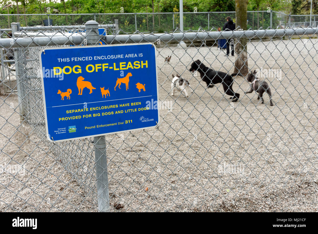 Villa Olímpica de perros sin correa en la bisagra de estacionamiento Park,  el municipio en False Creek, Vancouver, BC, Canadá Fotografía de stock -  Alamy