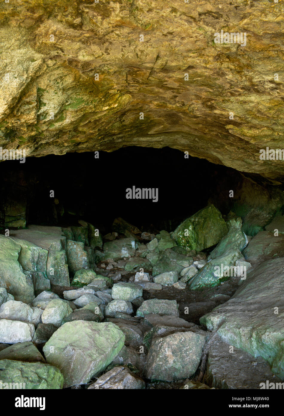 Cueva de boca en el east end de interconectados refugio de rocas y cuevas prehistóricas en piedra caliza acantilado debajo del GOP, Gop Cairn Hill, Trelawnyd, Flintshire, REINO UNIDO Foto de stock