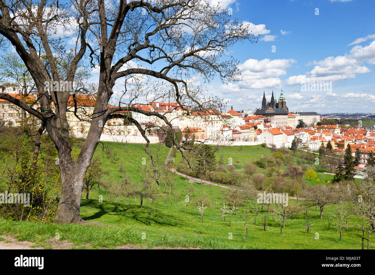 Petrin - Prazský hrad, Chram sv. Vita una Mala Strana, Praha (UNESCO), Ceska republika Foto de stock