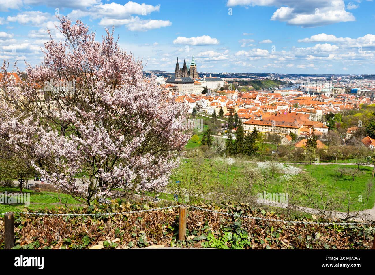 Petrin - Prazský hrad, Chram sv. Vita una Mala Strana, Praha (UNESCO), Ceska republika Foto de stock