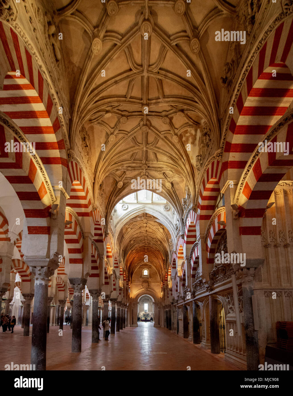 Salón columnado con arcos de estilo morisco, el salón de oración de la antigua mezquita, La Mezquita-Catedral de Córdoba o la Catedral de la concepción de nuestra Foto de stock