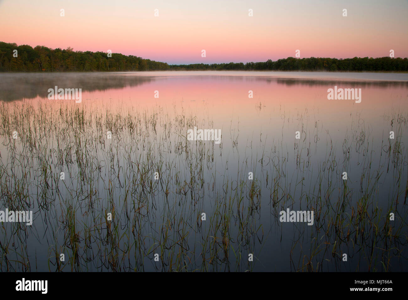 Rice lake fotografías e imágenes de alta resolución Alamy