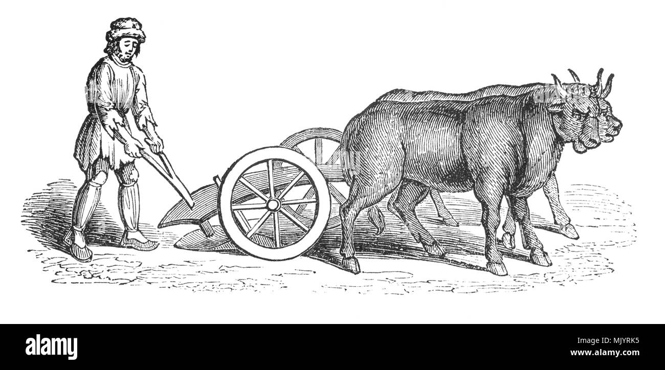 Una 15ª/16ª siglo dos ruedas utilizado para arado produjo un surco profundo  y gire la tierra después de haber sido cortado por la reja y compartir.  Tirado por una yunta de bueyes,