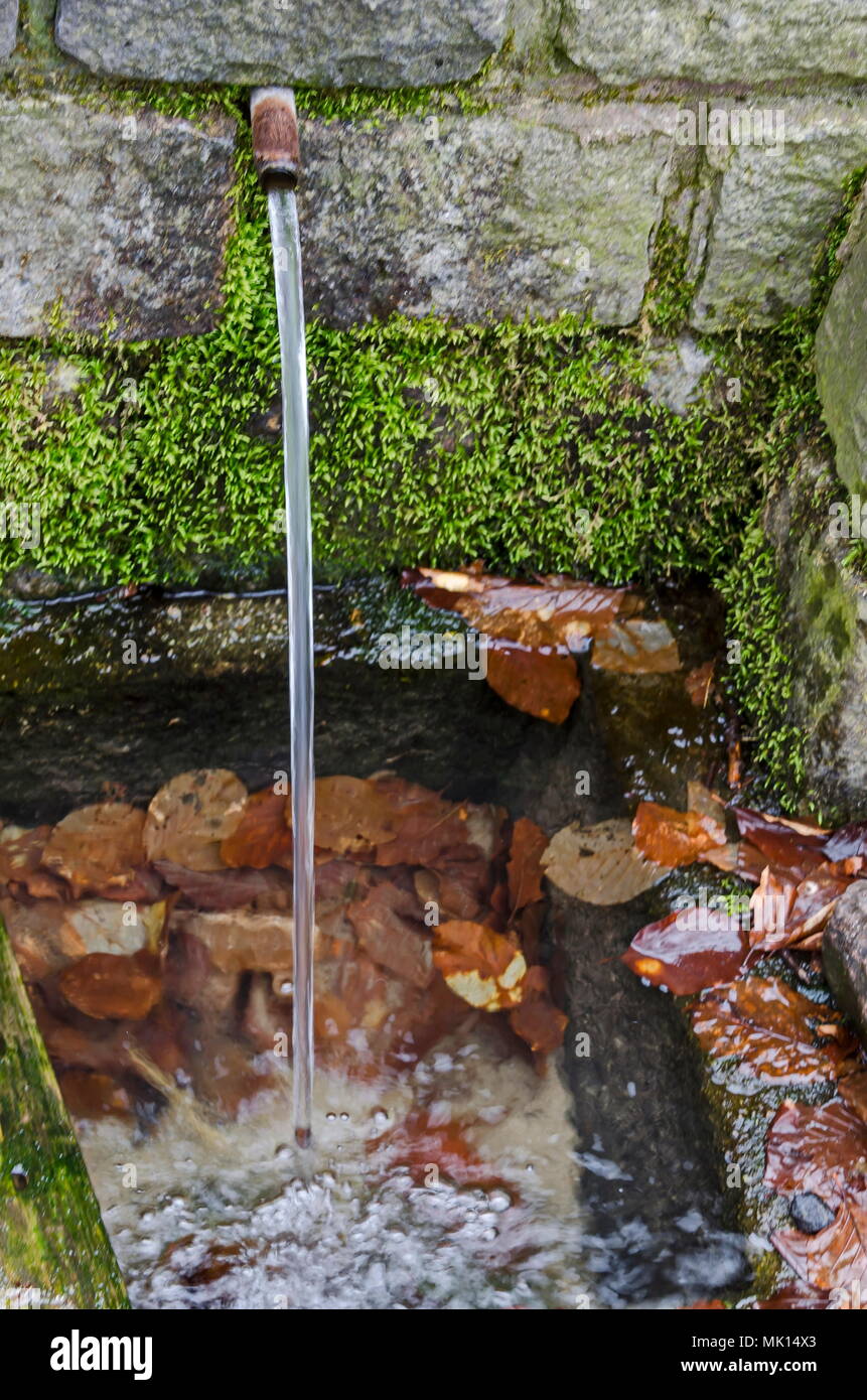 Chorro de agua fresca de fuente antigua en la Plana, cerca de la aldea de montaña Plana, Bulgaria Foto de stock