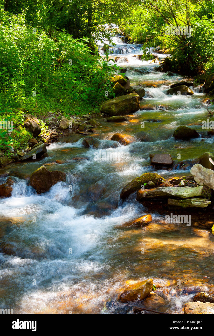 La pequeña corriente de agua en días soleados de verano encantador escenario natural. Foto de stock