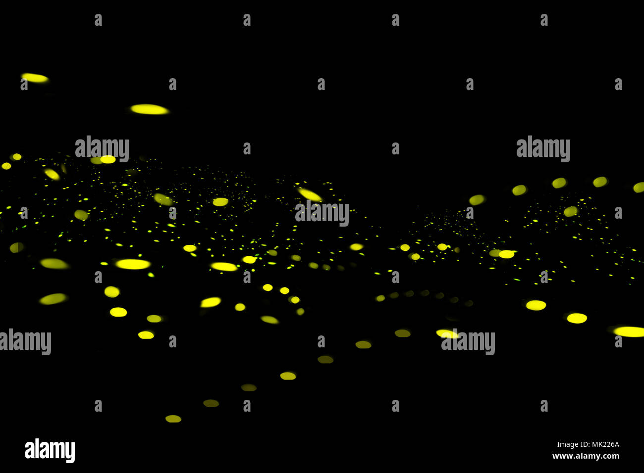 Firefly, lightning bugs sobre fondo negro Foto de stock