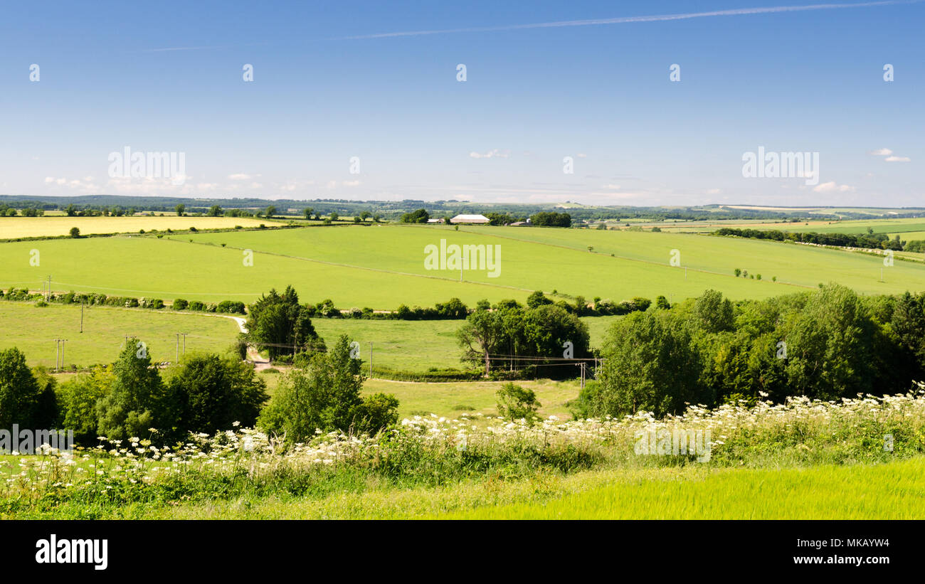 Campos agrícolas y tiza cerros alrededor de la escasamente poblada Tarrant Valley en Inglaterra de la Dorset Downs hills. Foto de stock