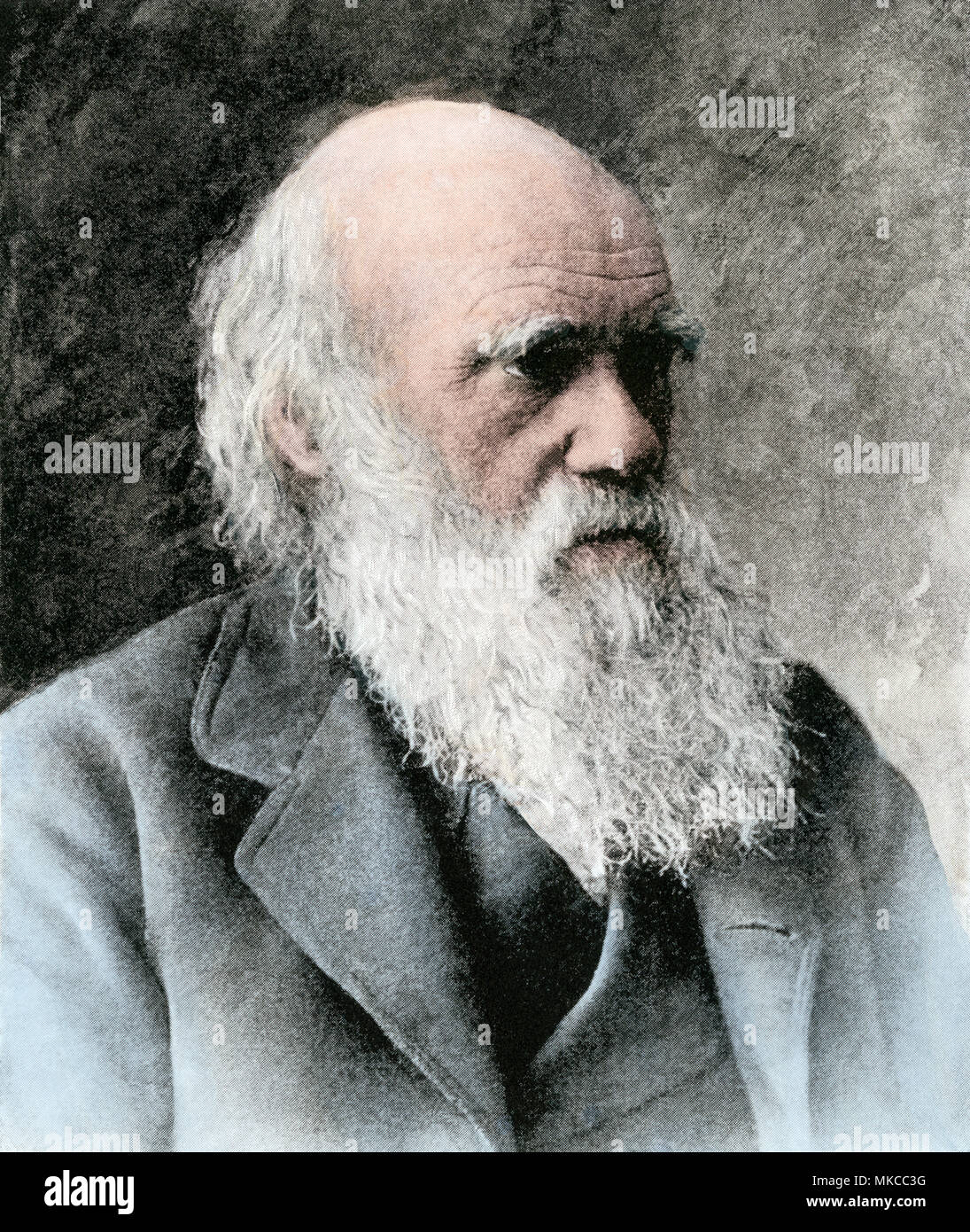 Charles Darwin, en 1880. Mano de color halftone reproducción de una fotografía Foto de stock