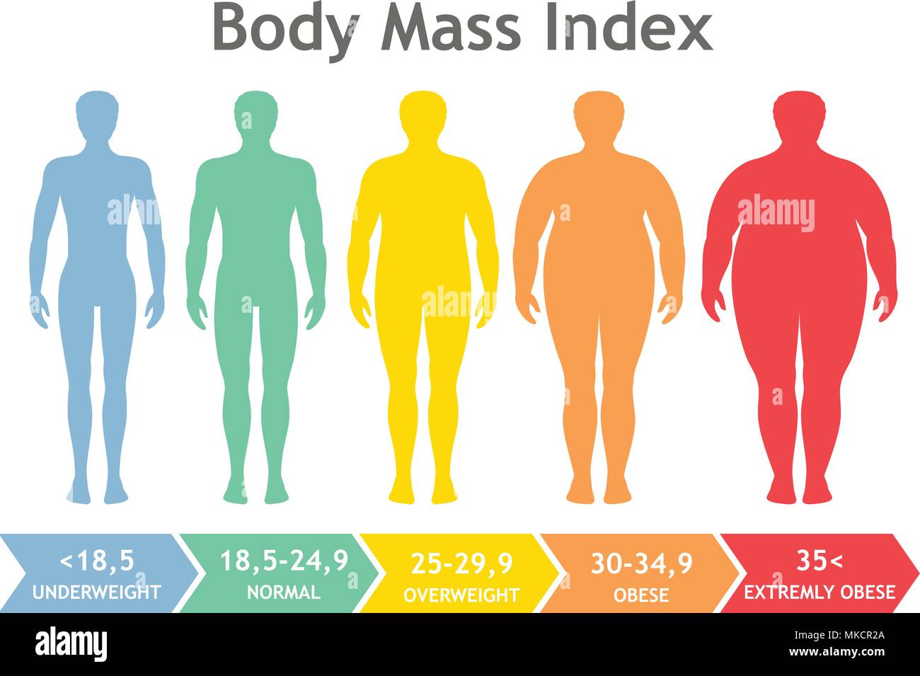 El índice de masa corporal ilustración vectorial de bajo peso extremadamente obesos. Hombre siluetas con diferentes grados obesidad. Cuerpo Masculino con diferentes weig Imagen Vector de stock - Alamy