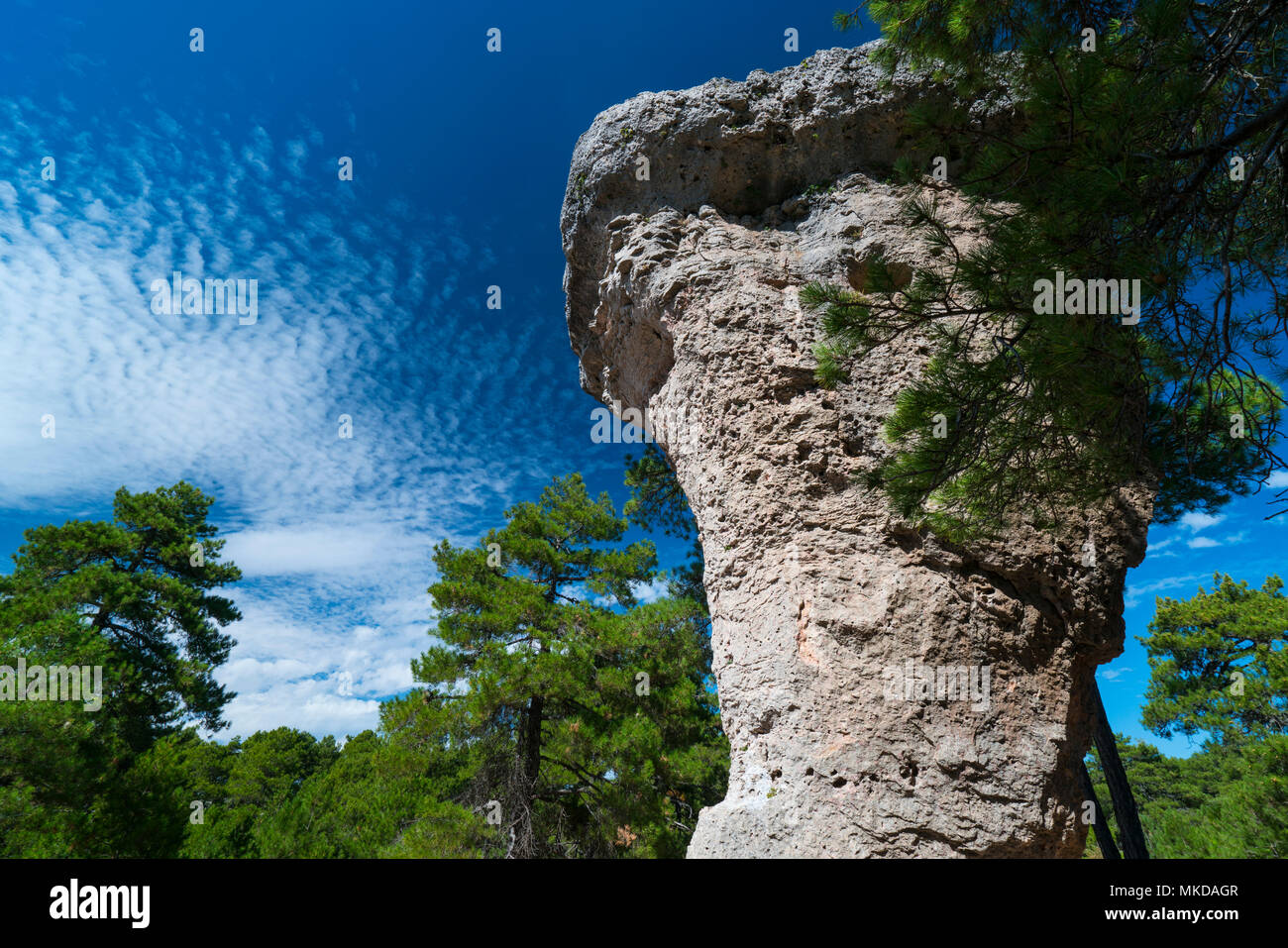 La Roca de la seta, Ciudad Encantada, Parque Natural Serranía de Cuenca,  Cuenca, Castilla - La Mancha, España, Europa Fotografía de stock - Alamy