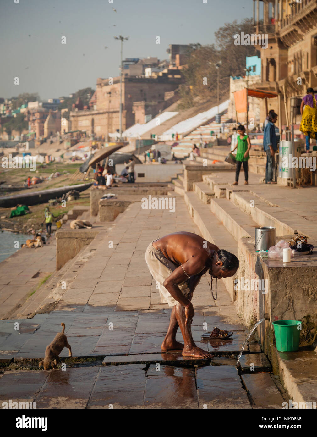 Uno de los cientos de perros y cachorros de bebidas desde el drenaje mientras un caballero lavados de las alcantarillas a lo largo de los Ghats de Varanasi.Varanasi Foto de stock