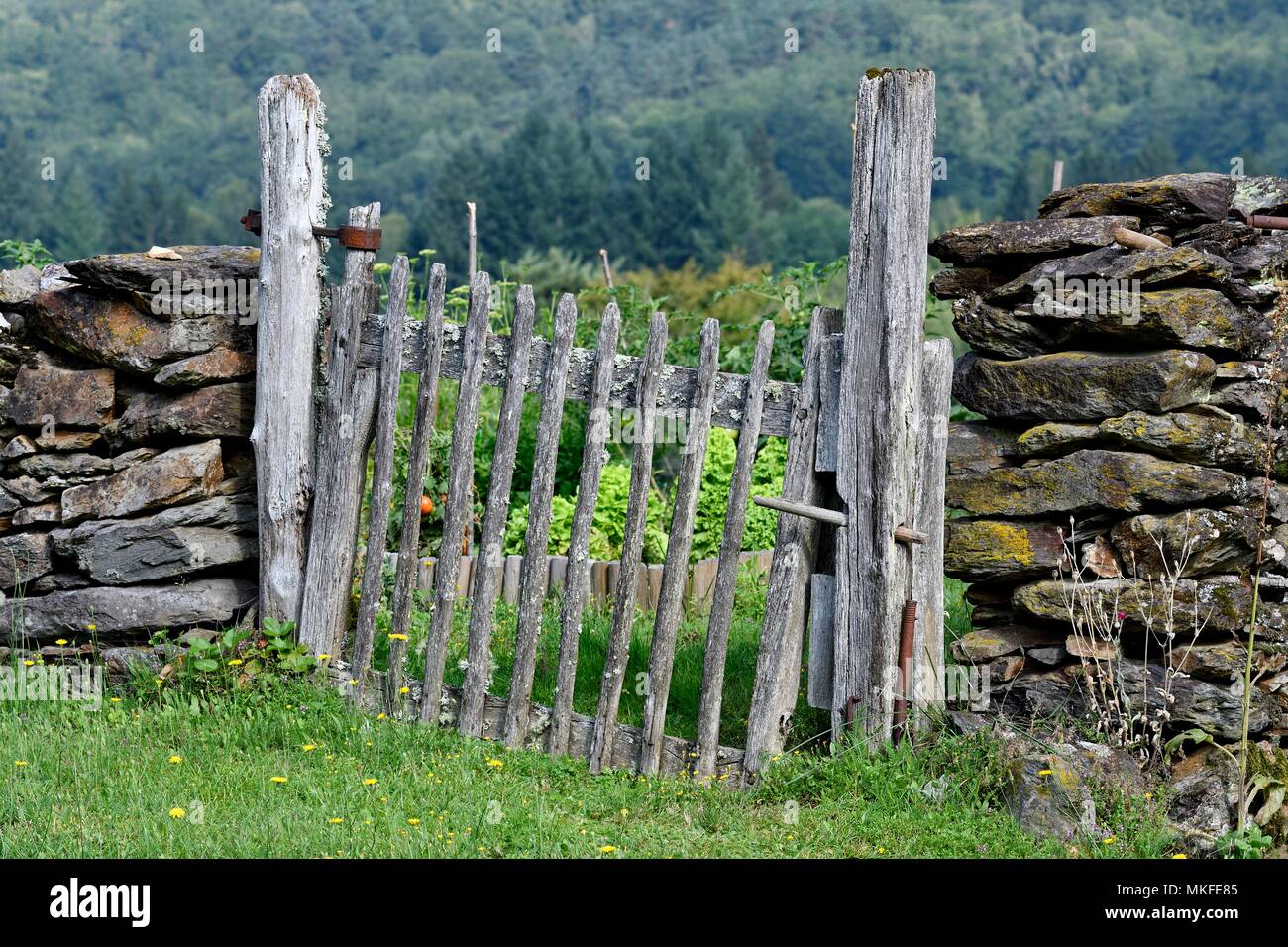 Valla de madera vieja cerrando la puerta de un jardín en el Cantal,  Auvernia, Francia Fotografía de stock - Alamy