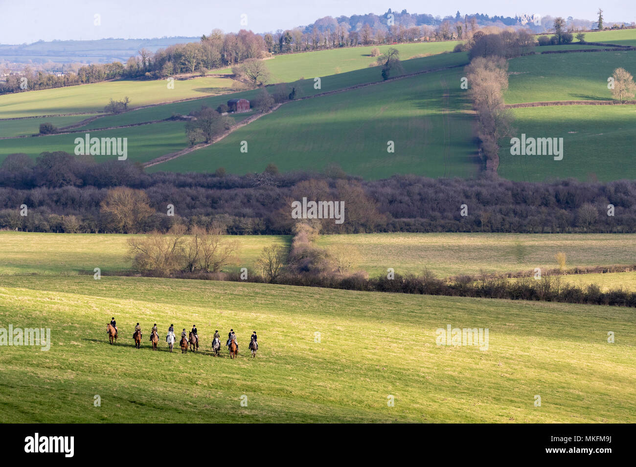 A la caza del zorro, jinetes en la campiña británica, Inglaterra, el invierno Foto de stock