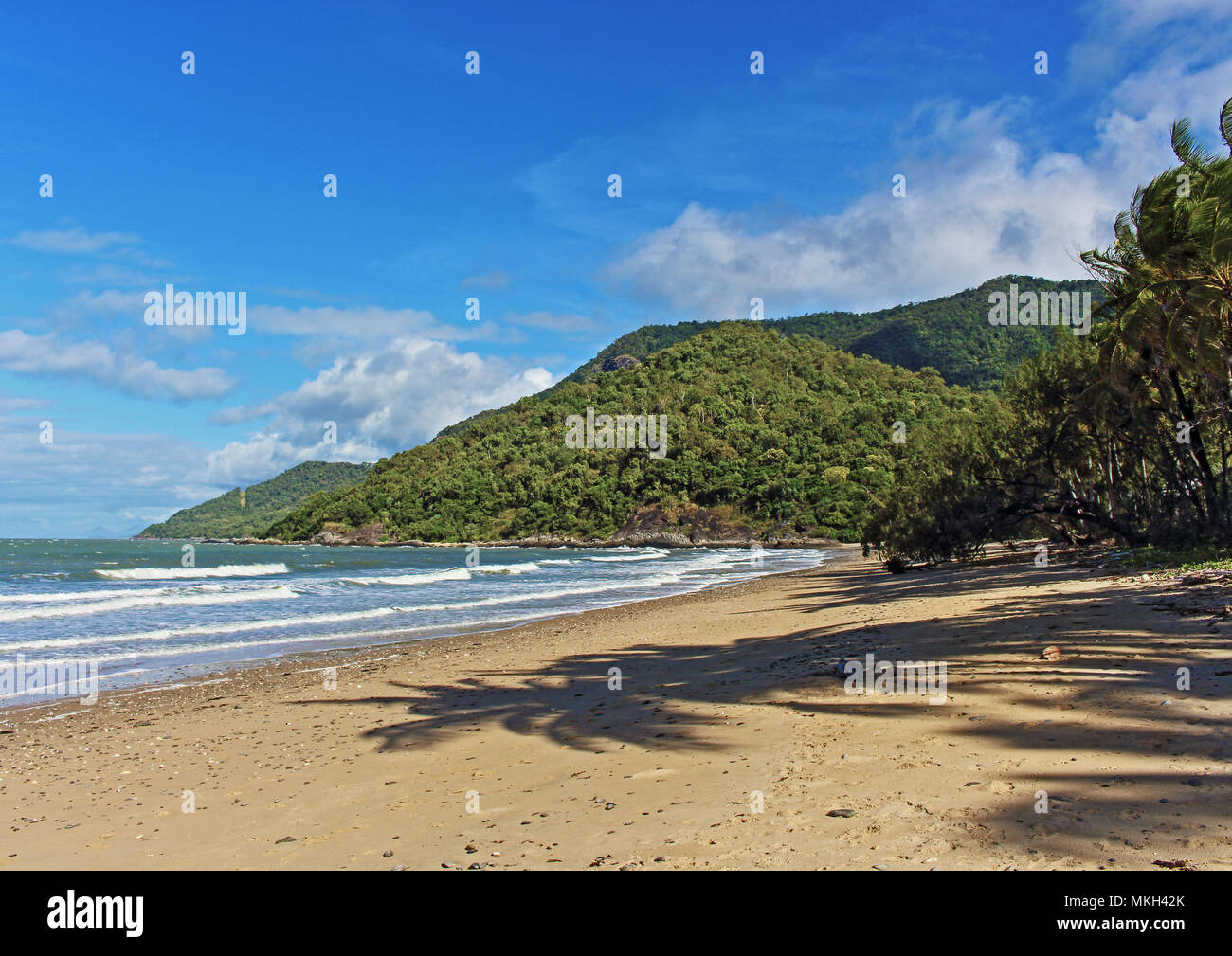 Playa de roble natural belleza tropical en FNQ Australia entre Cairns y Port Douglas. Foto de stock
