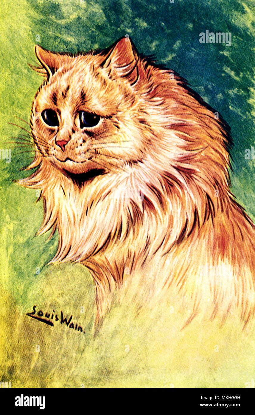 Perfil de Fluffy Canela cat. Foto de stock