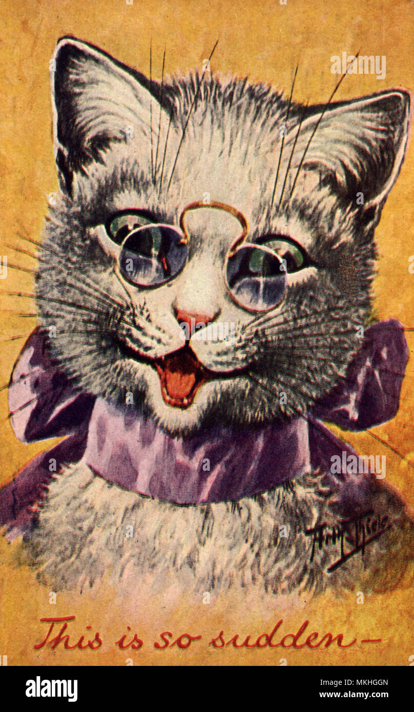 Gato sonriente con gafas Foto de stock