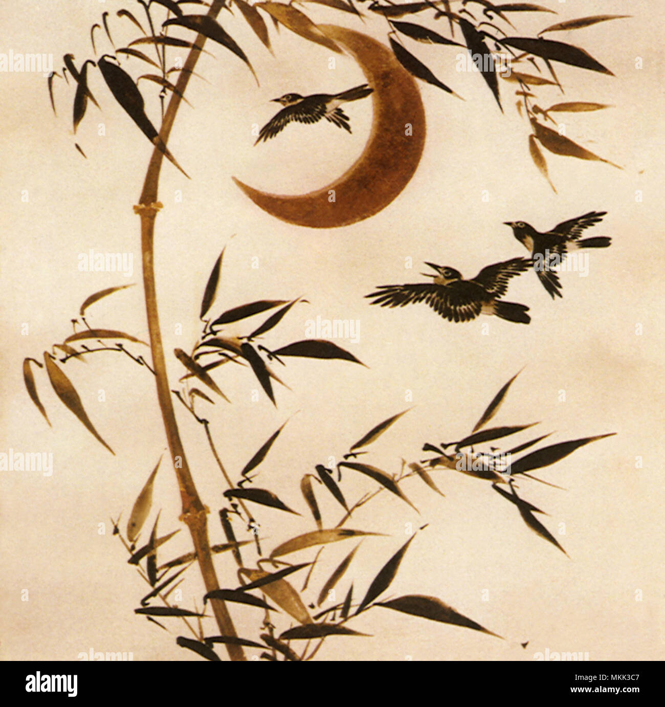 Bambú, Luna y pájaros. Foto de stock