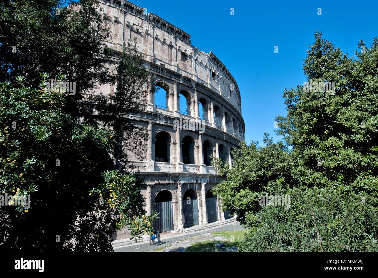 Vista exterior del Coliseo / Roma | Außenansicht von Kolosseum / Rom Foto de stock