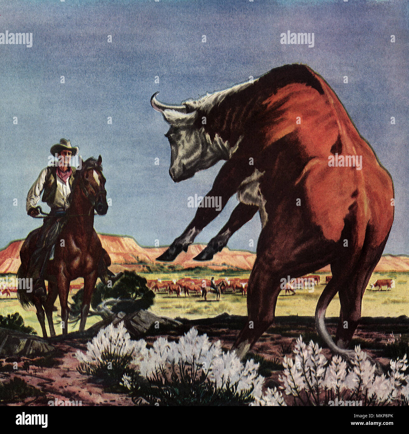 Named loco fotografías e imágenes de alta resolución Alamy