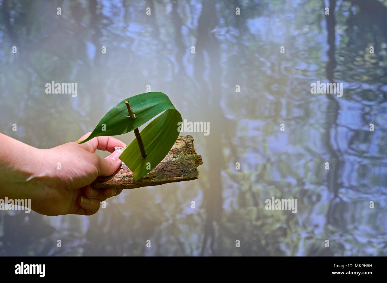 Una niña de la mano el barco da una corteza de un árbol y una hoja sobre la superficie del agua, con reflejos de árboles y un cielo azul Foto de stock