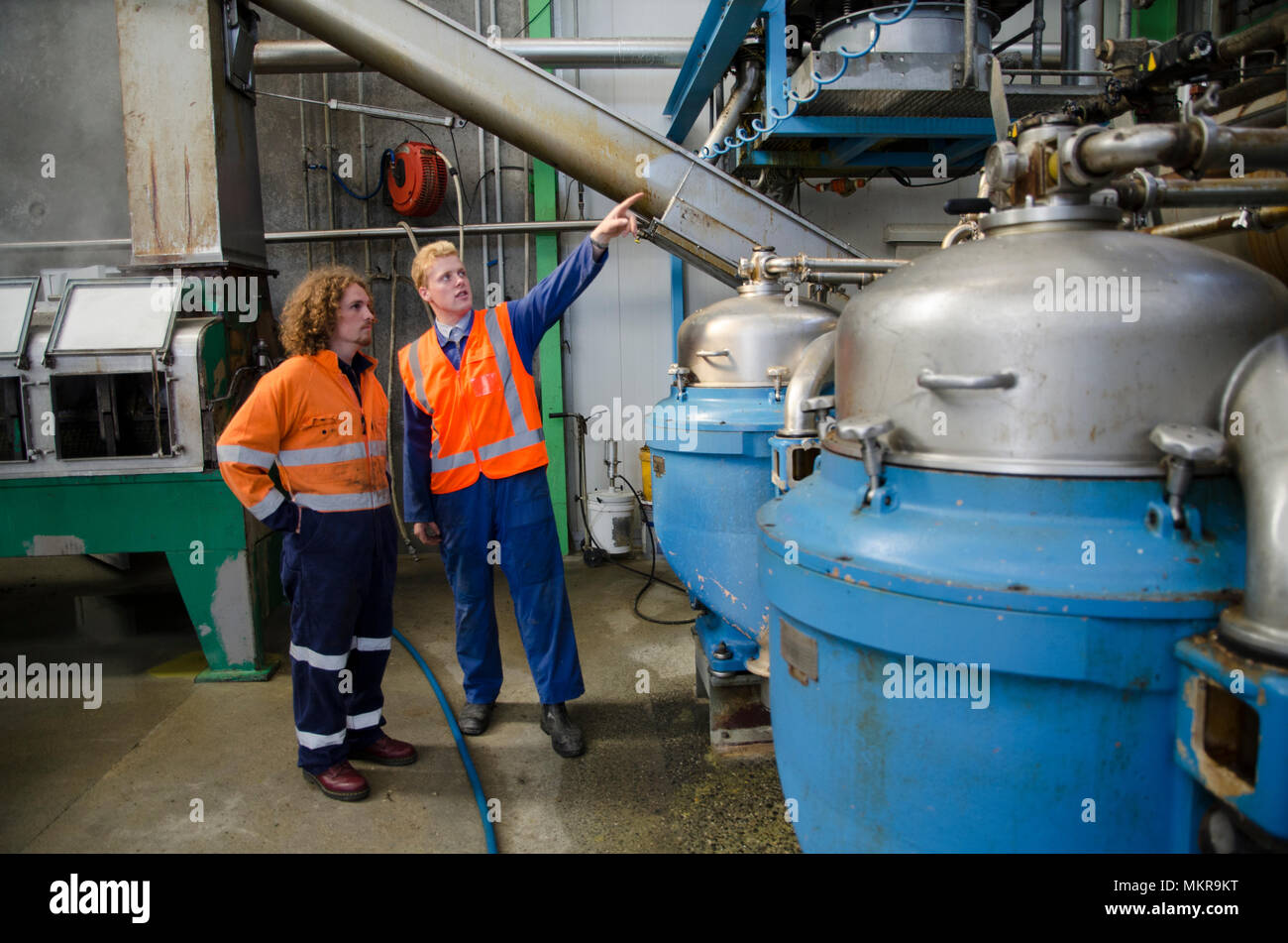 Dos electricistas Inspeccionar maquinaria en una fábrica de representación que hace de harinas cárnicas procedentes de despojos. Foto de stock