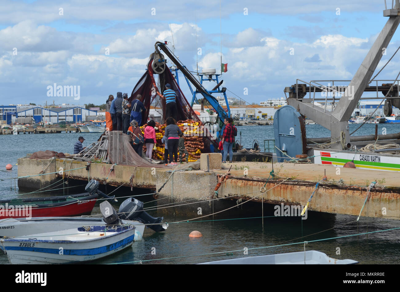 La tripulación de un cerquero recopila sus redes en el puerto pesquero de Olhão, Algarve, Sur de Portugal Foto de stock