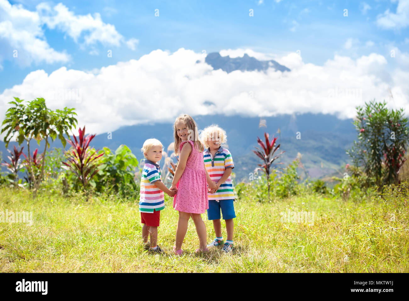 futuro Antídoto Trasplante Niño senderismo en las montañas. Los niños trekking en la selva de Borneo.  Niña y Niño mirando al pico de Monte Kinabalu, la montaña más alta de  Malasia. Familia s Fotografía de