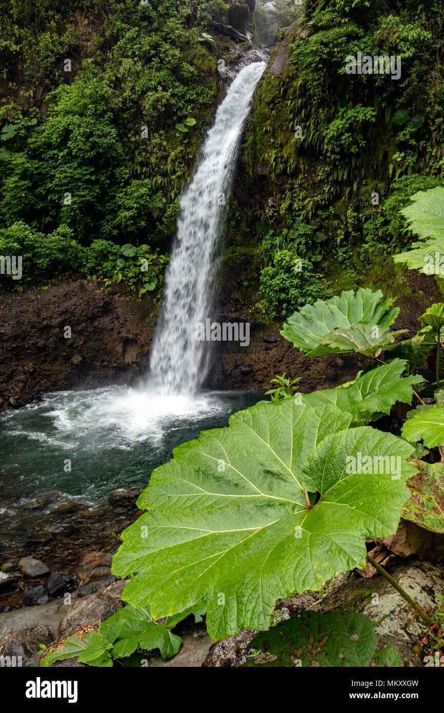 La Paz Waterfall - norte de Alajuela, Costa Rica Foto de stock