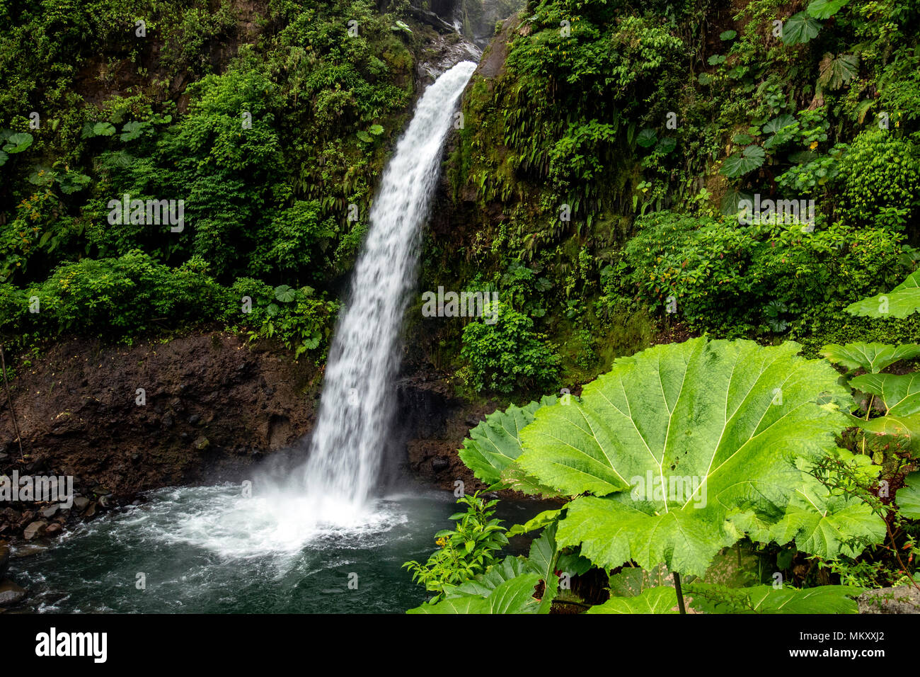 La Paz Waterfall - norte de Alajuela, Costa Rica Foto de stock