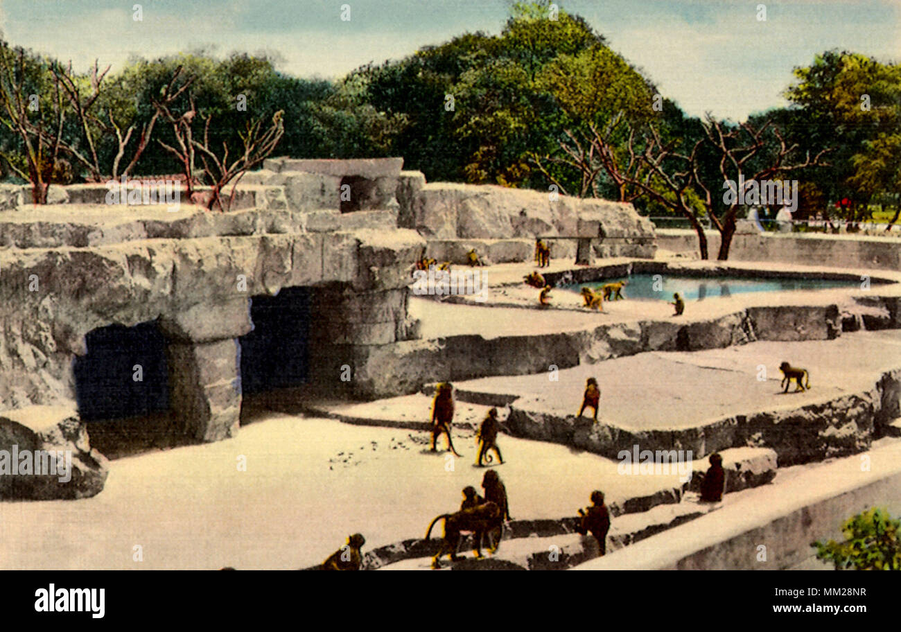 Brackenridge park fotografías e imágenes de alta resolución Alamy