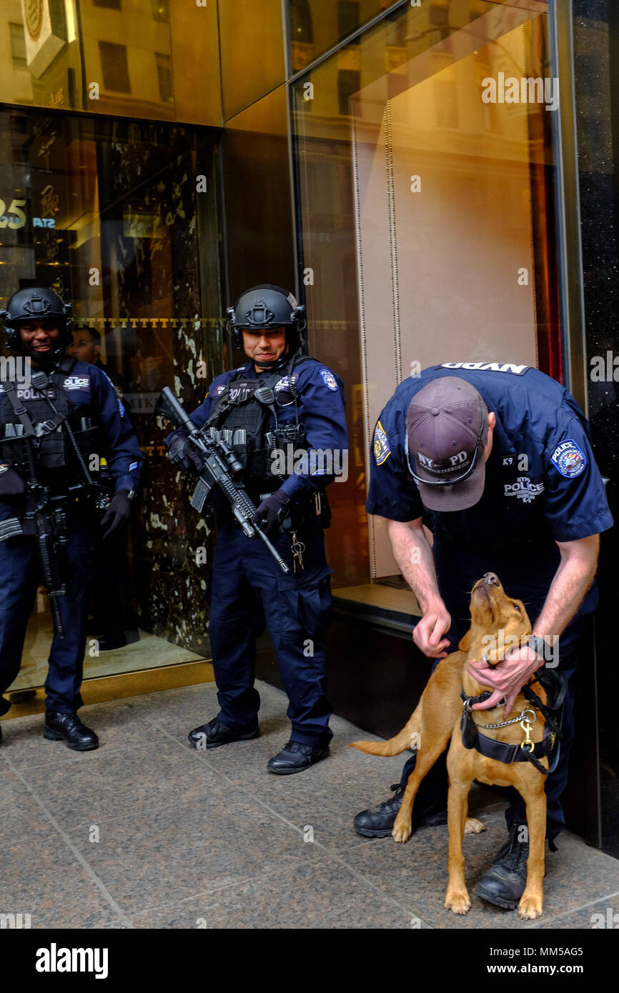 Oficiales de policía con armas automáticas y K9 vigilan la entrada a la Torre Trump, en la Ciudad de Nueva York el 6 de mayo, 2-18. Foto de stock