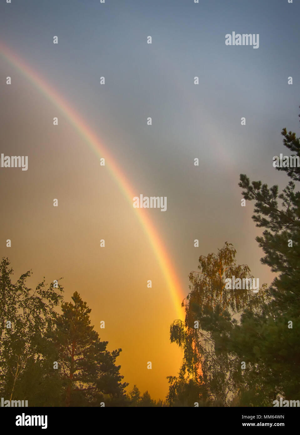 Doble Arco Iris Sobre Bosque Primario Arco Iris Arco Iris De Segundo Orden Imagen Brillante Paleta De Colores Del Arco Iris Fenomeno Atmosferico Fenomeno Optico Weathe Fotografia De Stock Alamy