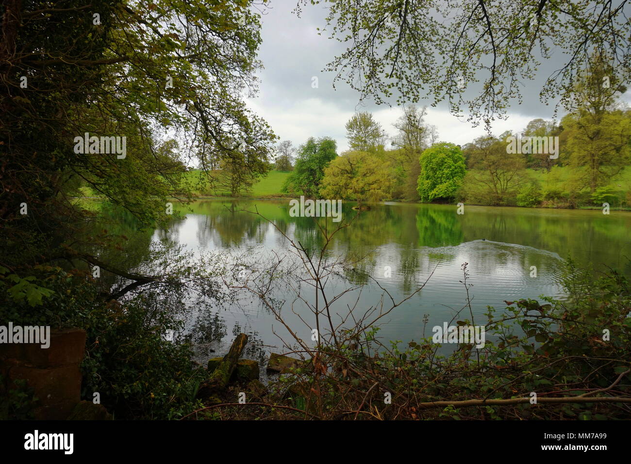 Enville Manor, Break y lago en los Páramos de Staffordshire. Situado en Inglaterra, Gran Bretaña, Reino Unido. Foto de stock