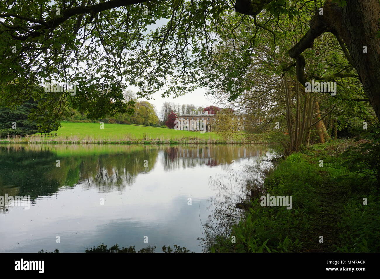 Enville Manor, Break y lago en los Páramos de Staffordshire. Situado en Inglaterra, Gran Bretaña, Reino Unido. Foto de stock