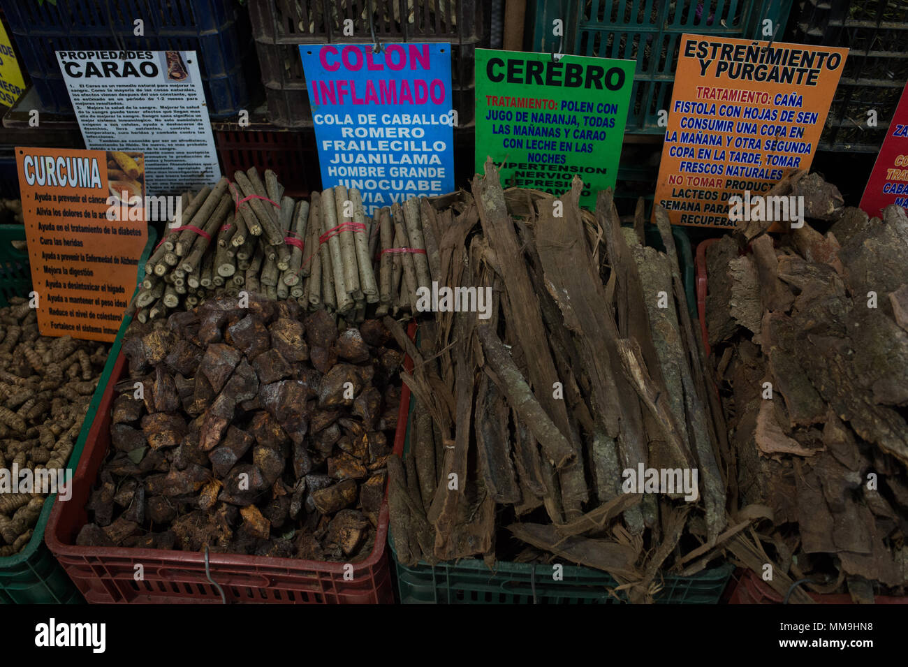 Hierbas Y Plantas Utilizadas En La Medicina Tradicional Mercado