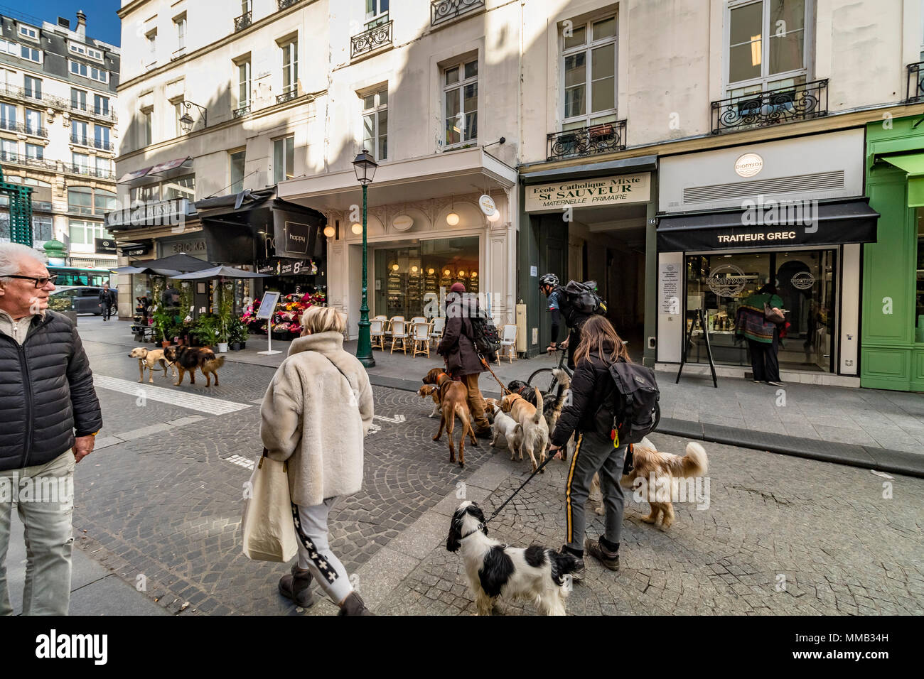 Un gran grupo de perros se sacaron a dar un paseo para caminar a lo largo de la rue Montorgueil , un área peatonal en el corazón de París, Francia Foto de stock