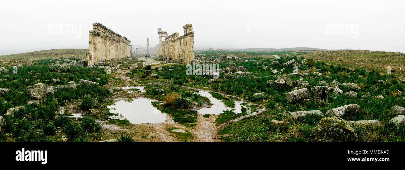 Las ruinas de la gran columnata en apamea fotografías e imágenes de