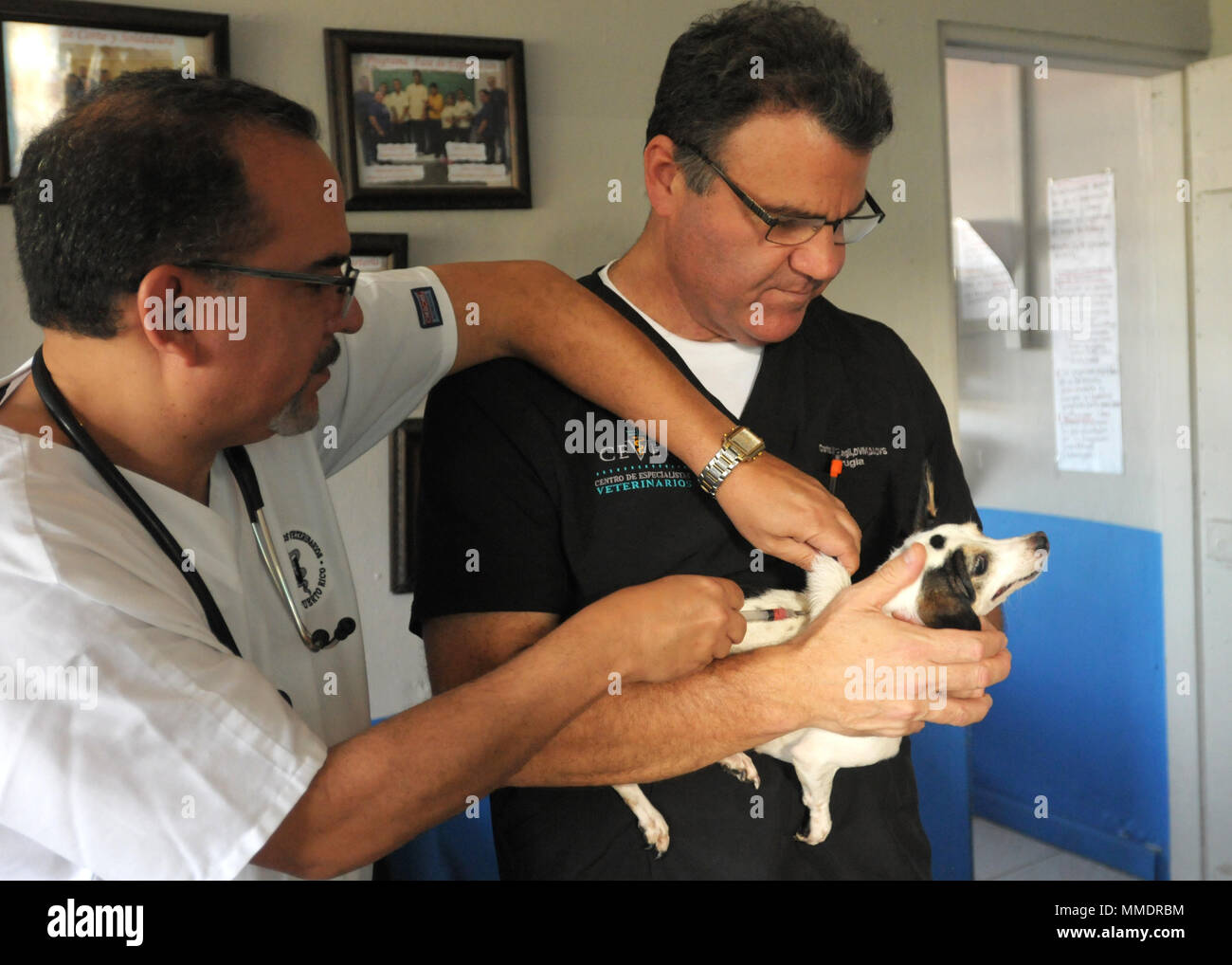 El Dr. Víctor Collazo, un veterinario con el Hospital Veterinario, Ponce de  León en Guaynabo, Puerto Rico, y el Dr. Carlos Mongil, un veterinario con  el Centro de especialistas en veterinaria de
