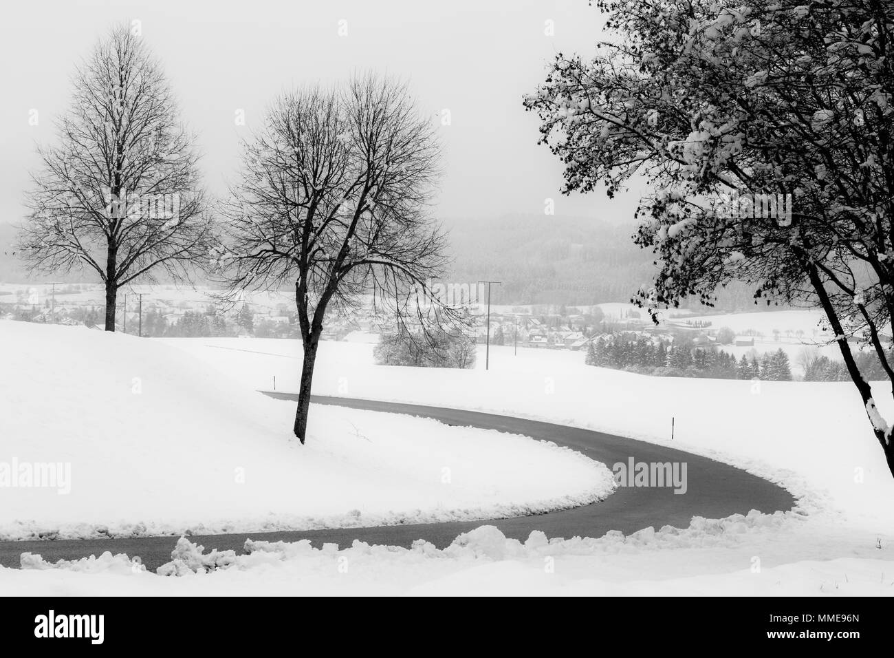 Un serpenteante camino en medio de la nieve, con árboles en la parte lateral Foto de stock