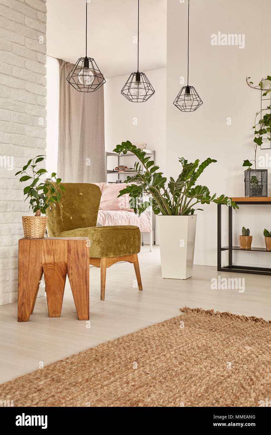 Interior con plantas de interior decorativas, verde sillón y lámparas  colgantes Fotografía de stock - Alamy