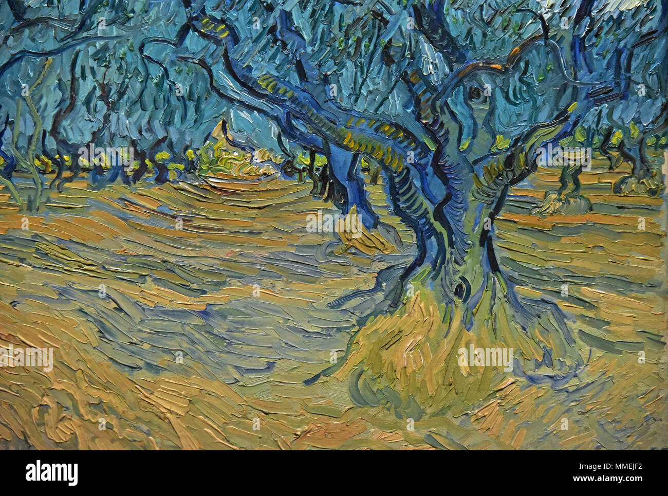 Detalle de el huerto de los Olivos (1888), de Vincent van Gogh, Arles, Francia Foto de stock