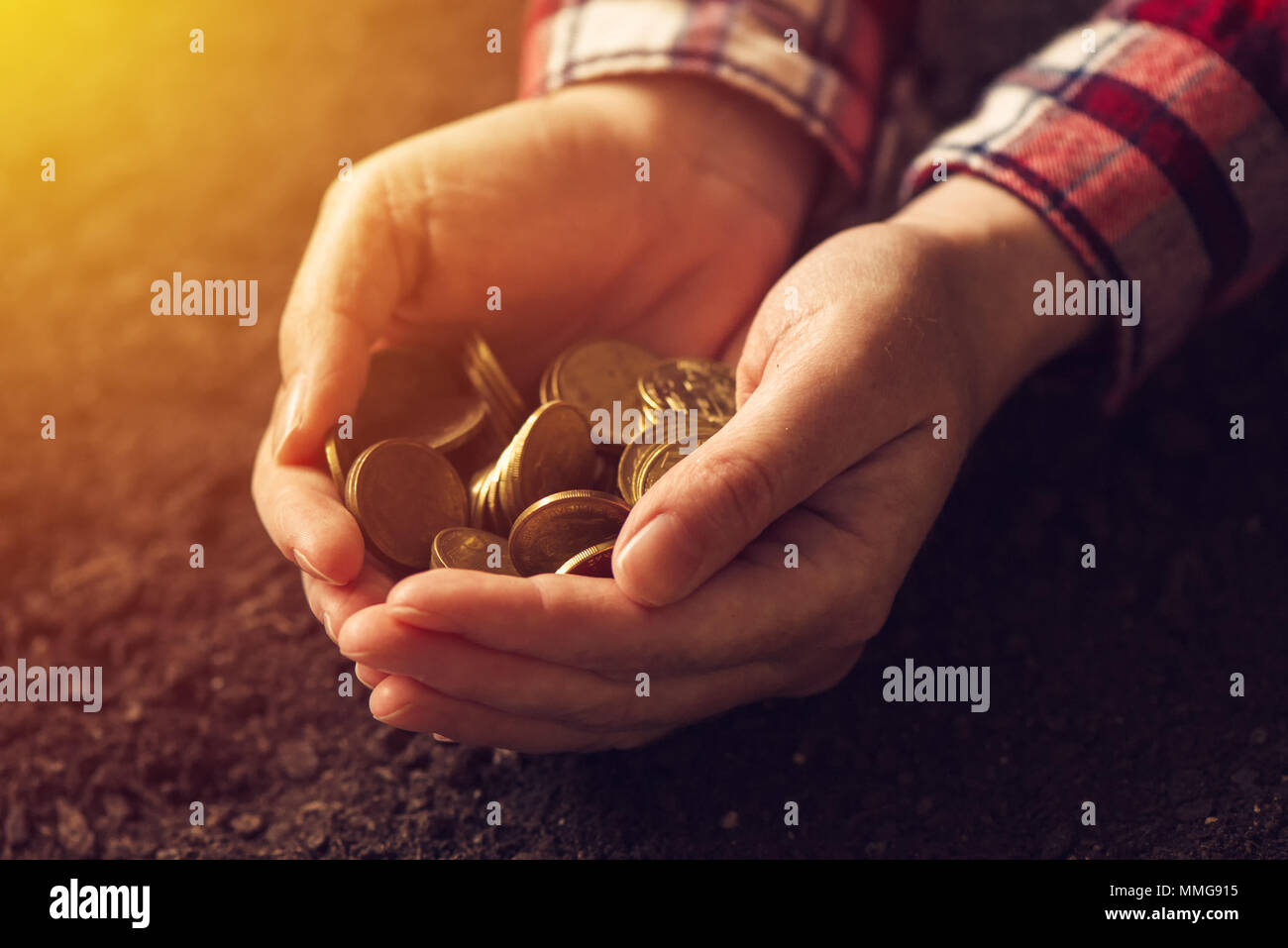La productividad agrícola, el dinero y los ingresos después del rendimiento de las cosechas, la agricultora y el agrónomo con el puñado de monedas de oro Foto de stock